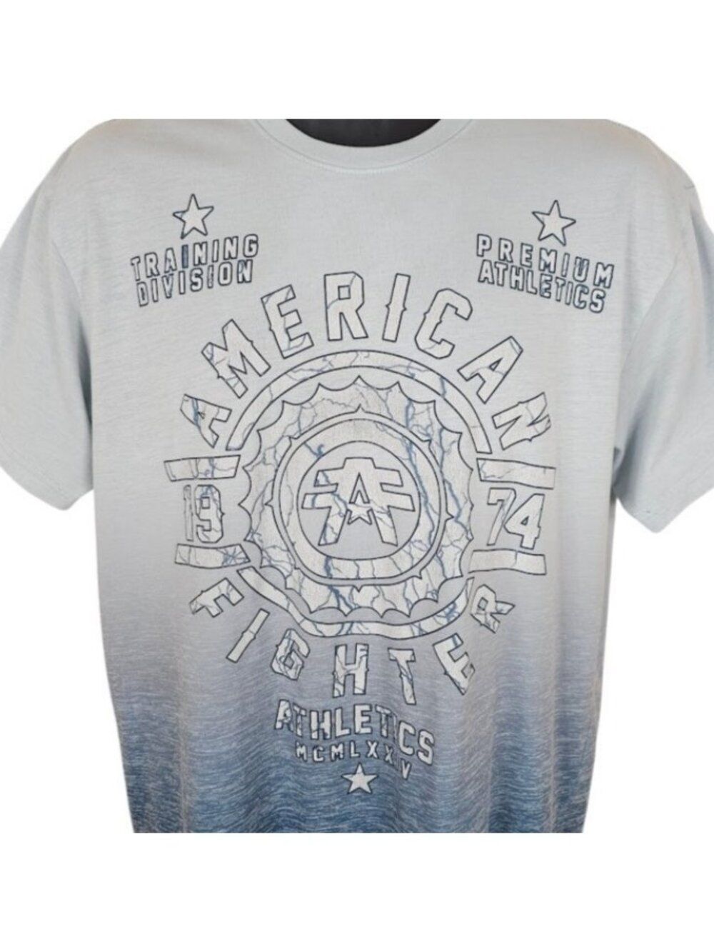 American Fighter T Shirt Mens Size XL Blue MMA Training Division